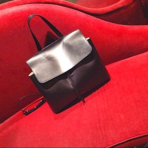 Mansur Gavriel Lady Bag